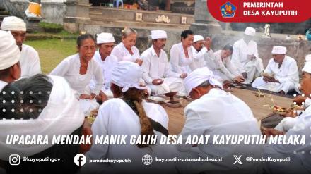 Upacara Tradisi Mendak Manik Galih di Pura Desa Adat Kayuputih Melaka